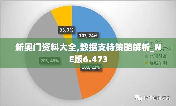 新奥门资料大全,数据支持策略解析_NE版6.473