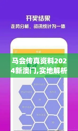 马会传真资料2024新澳门,实地解析说明_tool5.115