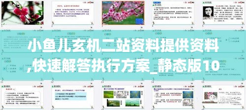 小鱼儿玄机二站资料提供资料,快速解答执行方案_静态版10.780