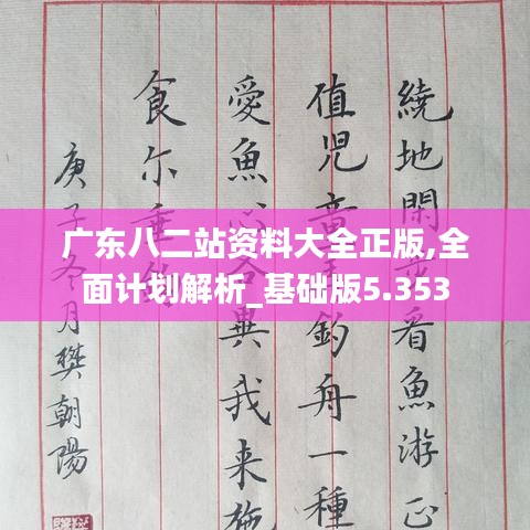 广东八二站资料大全正版,全面计划解析_基础版5.353