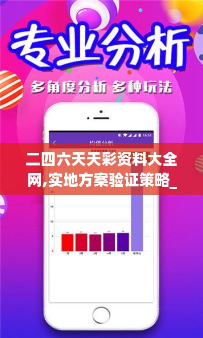 二四六天天彩资料大全网,实地方案验证策略_苹果10.172
