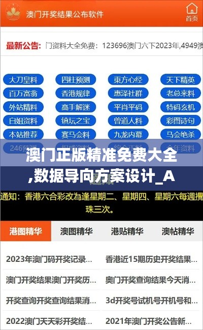 澳门正版精准免费大全,数据导向方案设计_AP110.439
