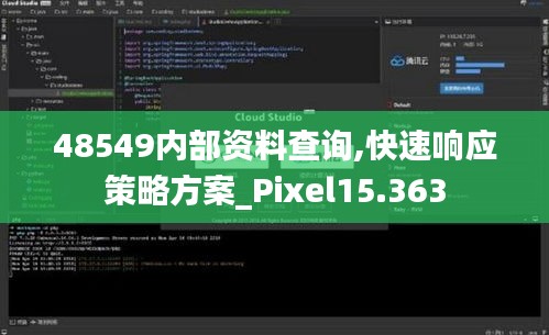 48549内部资料查询,快速响应策略方案_Pixel15.363