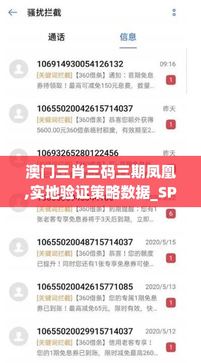 澳门三肖三码三期凤凰,实地验证策略数据_SP6.215
