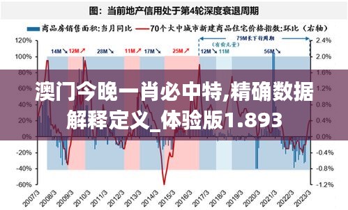 澳门今晚一肖必中特,精确数据解释定义_体验版1.893