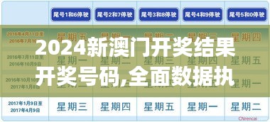 2024新澳门开奖结果开奖号码,全面数据执行方案_PalmOS14.636