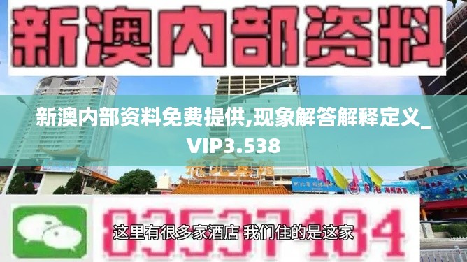 新澳内部资料免费提供,现象解答解释定义_VIP3.538
