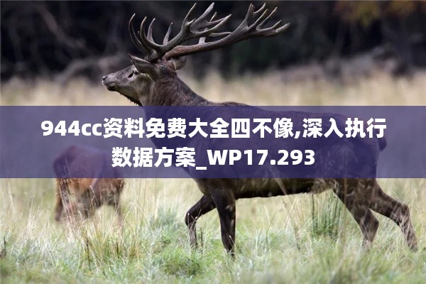 944cc资料免费大全四不像,深入执行数据方案_WP17.293