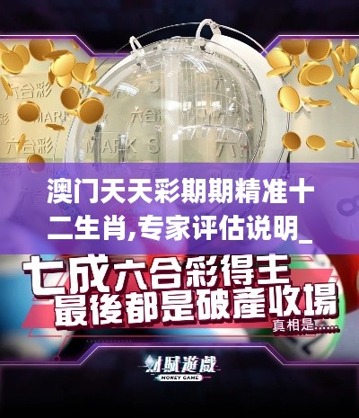 澳门天天彩期期精准十二生肖,专家评估说明_X5.395