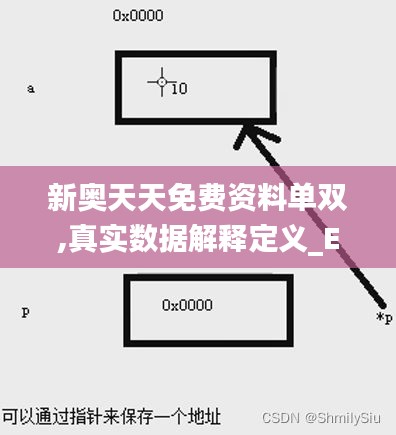 新奥天天免费资料单双,真实数据解释定义_Executive18.572