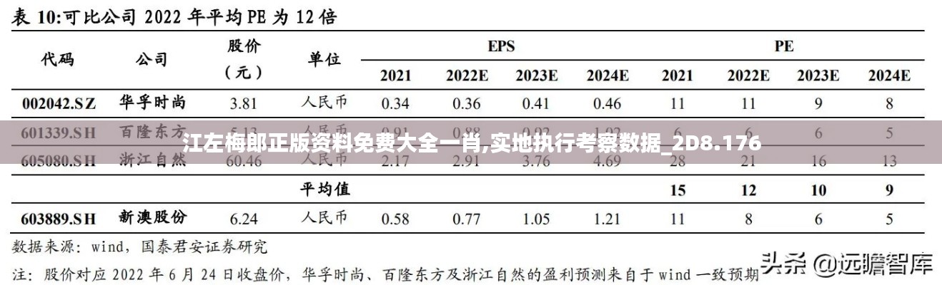 江左梅郎正版资料免费大全一肖,实地执行考察数据_2D8.176