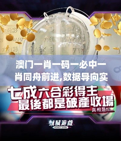 澳门一肖一码一必中一肖同舟前进,数据导向实施_Executive11.228