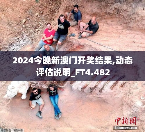 2024今晚新澳门开奖结果,动态评估说明_FT4.482
