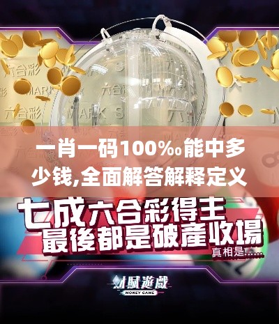 一肖一码100‰能中多少钱,全面解答解释定义_高级款5.607