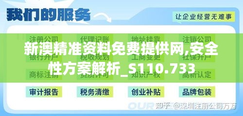 新澳精准资料免费提供网,安全性方案解析_S110.733