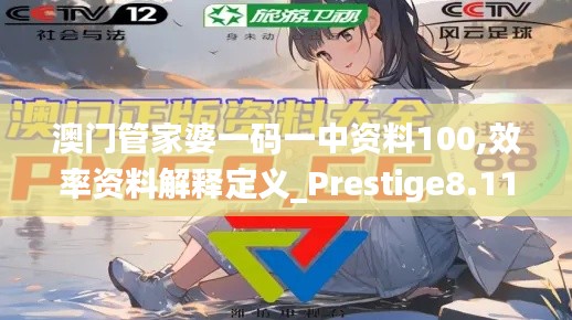 澳门管家婆一码一中资料100,效率资料解释定义_Prestige8.114