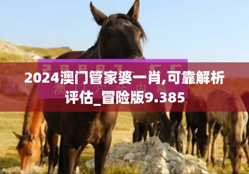 2024澳门管家婆一肖,可靠解析评估_冒险版9.385