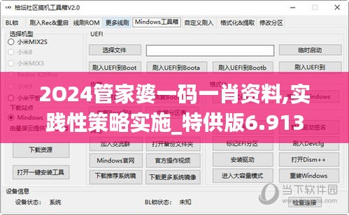 2O24管家婆一码一肖资料,实践性策略实施_特供版6.913