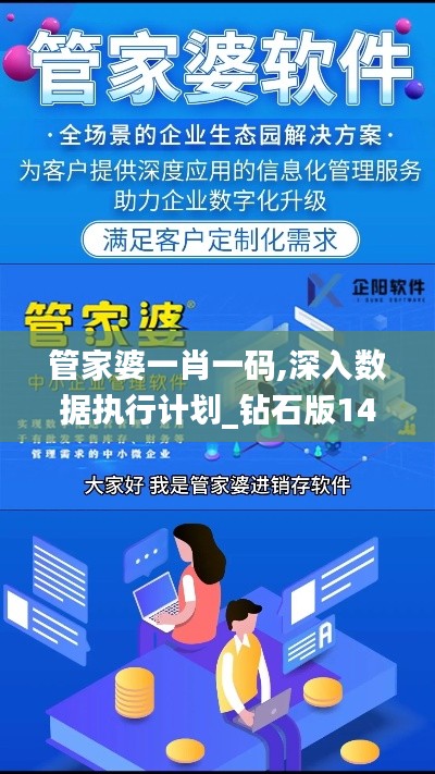 管家婆一肖一码,深入数据执行计划_钻石版14.441