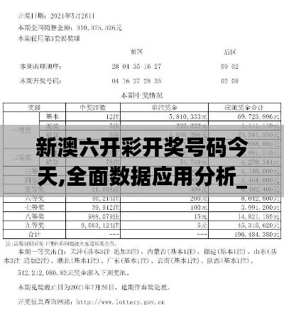 新澳六开彩开奖号码今天,全面数据应用分析_豪华款6.500