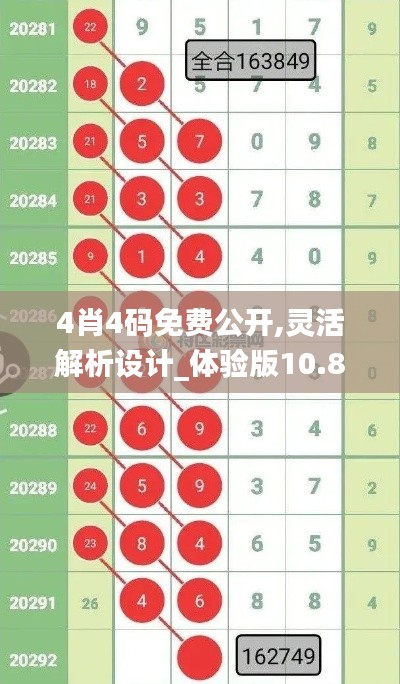 4肖4码免费公开,灵活解析设计_体验版10.805