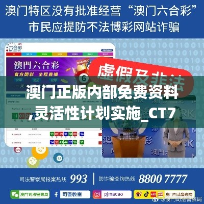 澳门正版内部免费资料,灵活性计划实施_CT7.355