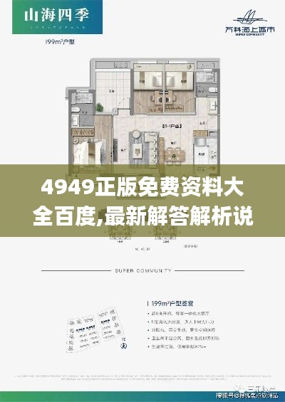 4949正版免费资料大全百度,最新解答解析说明_5DM10.257