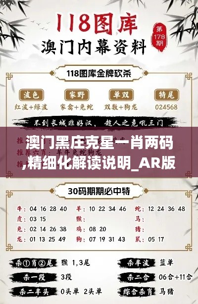 澳门黑庄克星一肖两码,精细化解读说明_AR版5.489