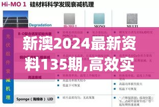 新澳2024最新资料135期,高效实施设计策略_移动版9.631