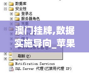 澳门挂牌,数据实施导向_苹果7.626