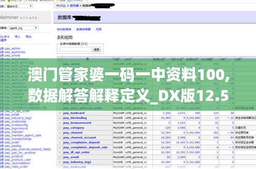 澳门管家婆一码一中资料100,数据解答解释定义_DX版12.532