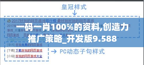 一码一肖100%的资料,创造力推广策略_开发版9.588