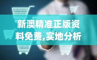 新澳精准正版资料免费,实地分析数据计划_Prestige1.595