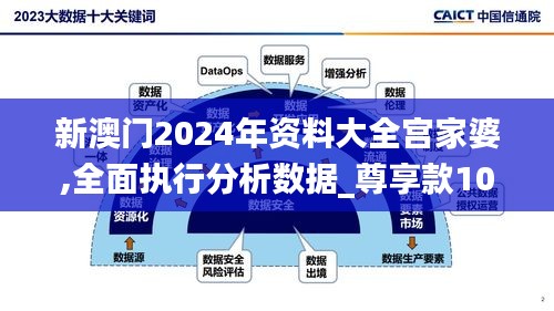 新澳门2024年资料大全宫家婆,全面执行分析数据_尊享款10.409