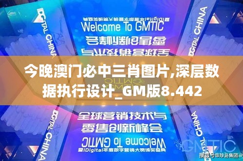 今晚澳门必中三肖图片,深层数据执行设计_GM版8.442