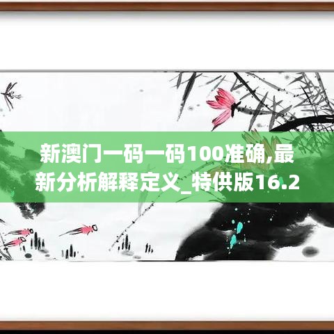 新澳门一码一码100准确,最新分析解释定义_特供版16.270