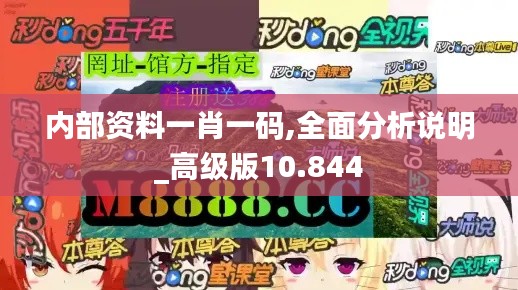 内部资料一肖一码,全面分析说明_高级版10.844