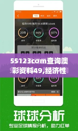 55123cσm查询澳彩资料49,经济性执行方案剖析_网页款7.600