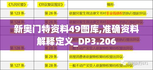 新奥门特资料49图库,准确资料解释定义_DP3.206