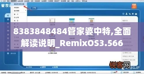 8383848484管家婆中特,全面解读说明_RemixOS3.566