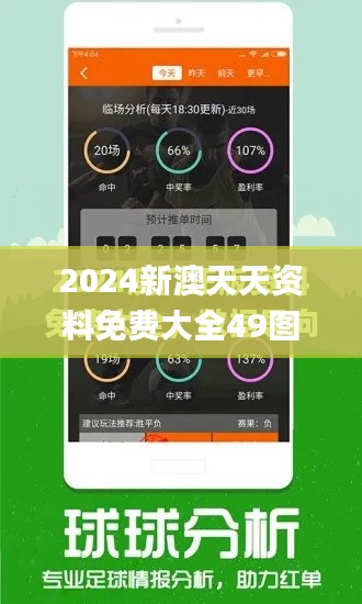 2024新澳天天资料免费大全49图,创造力推广策略_DX版5.670