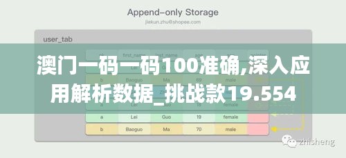 澳门一码一码100准确,深入应用解析数据_挑战款19.554