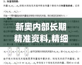 新奥内部长期精准资料,精细分析解释定义_特供版3.160