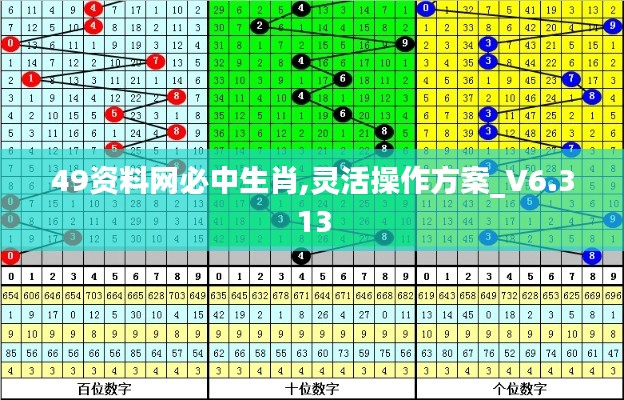 49资料网必中生肖,灵活操作方案_V6.313