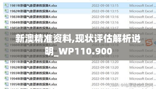 新澳精准资料,现状评估解析说明_WP110.900
