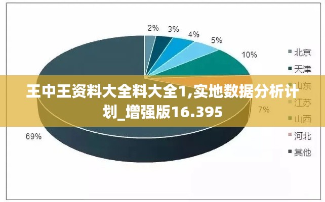 王中王资料大全料大全1,实地数据分析计划_增强版16.395
