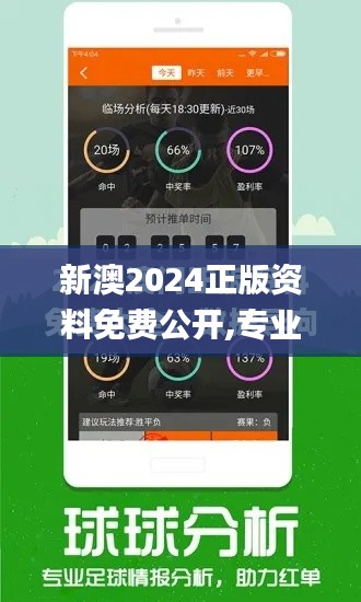 新澳2024正版资料免费公开,专业数据解释定义_社交版10.595