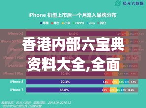 香港内部六宝典资料大全,全面数据应用执行_Max1.795