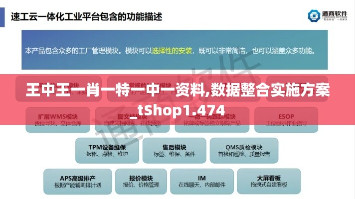 王中王一肖一特一中一资料,数据整合实施方案_tShop1.474