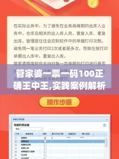 管家婆一票一码100正确王中王,实践案例解析说明_W5.252